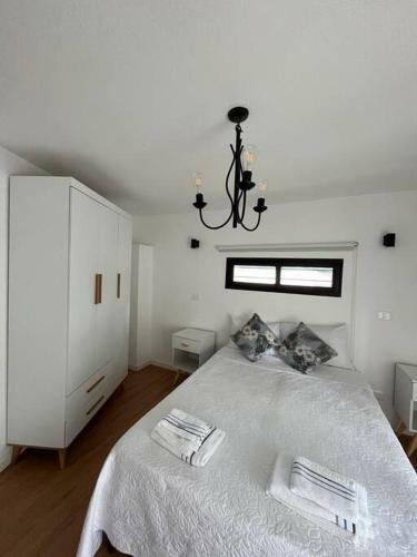 Agradable Y Bien Ubicado Duplex En Punta Carretas