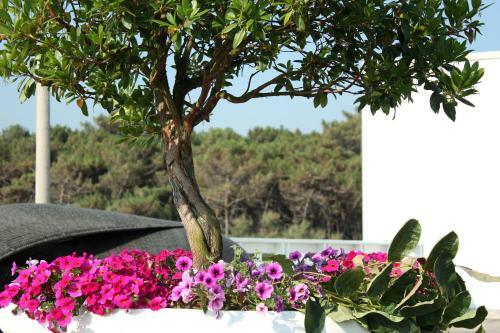 Hotel Mosaico Terme Beach Resort