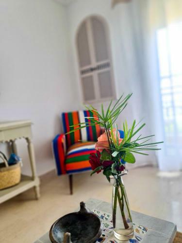 Hostal Dar Colibri - Maison D'h�tes � K�libia