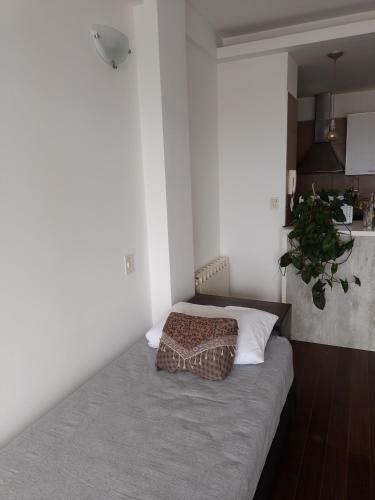 Apartamento Altamar Ushuaia
