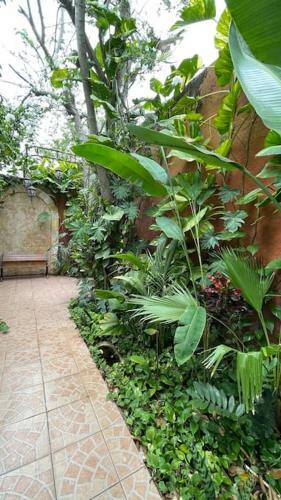 La Casa Inteligente Del Jard�n. Garden Smart Home