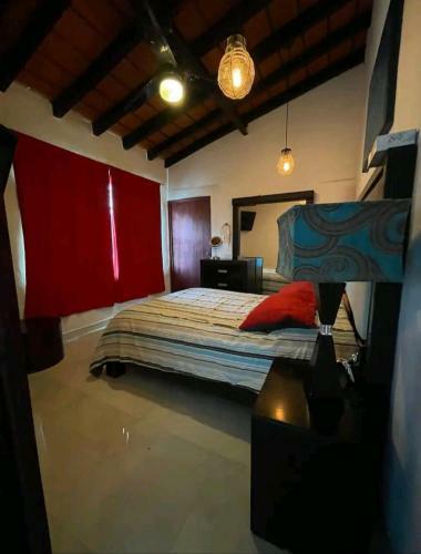 Orqu�dea Apartment