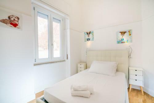 Apartamento Le Scale Sul Porto . Marina Centro Storico. AC