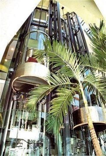 Hotel Alpha-palmiers