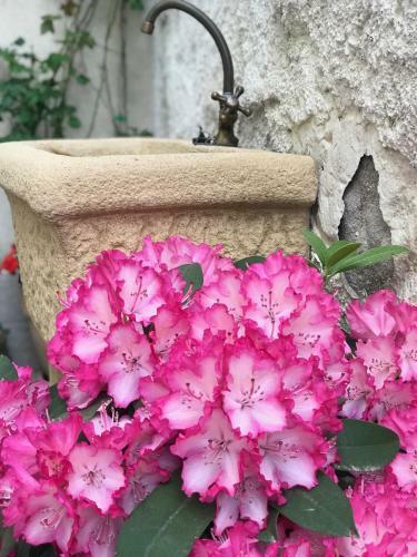 Apartamento Residence Campanelle 54