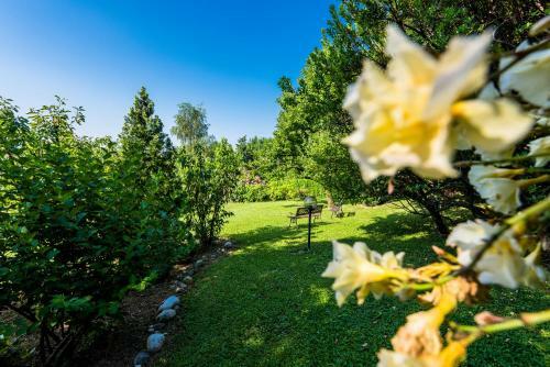 B&B Il Borghetto