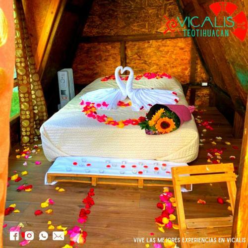 Hotel Vicalis & Restaurante