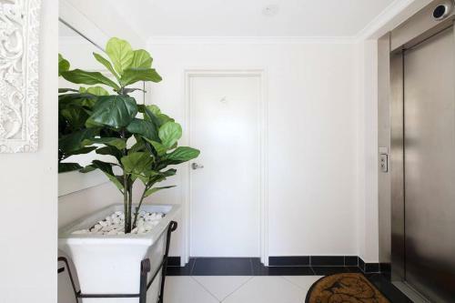 Apartamento Seaview Nelson Bay
