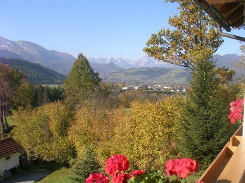 Apartamento Haus L�ger