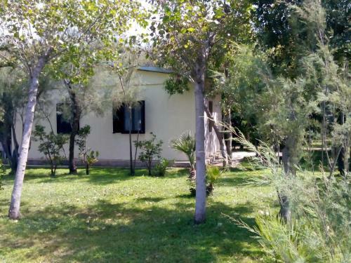 Lido Villaggio Il Ragno