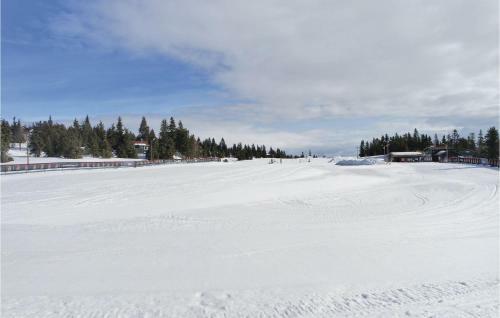 Four-bedroom Holiday Home In Sjusjoen