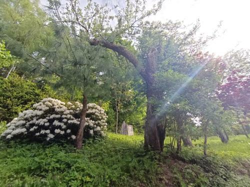 Apartament Rozety Maroka