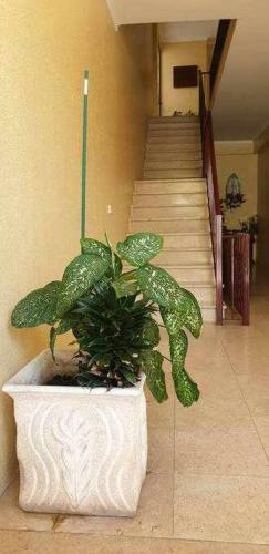 Apartamento Em Costa Da Caparica A 2min Da Praia
