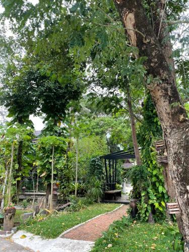 Wooden Private Pool Villa - By Prosper Hospitality