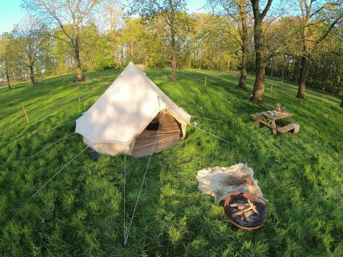 Enter The Woods - Pop-up Glamping