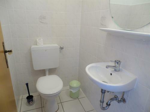 Vogel Dahmesh�ved 21 B