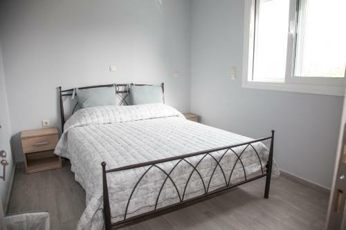 Apartamento Nemo 2