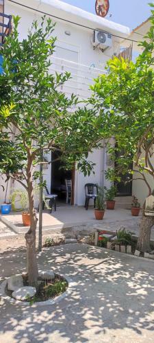 Apartamento Platia Studios