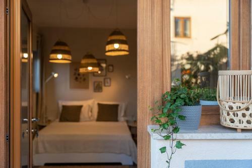 Hostal Premium Holiday House 9