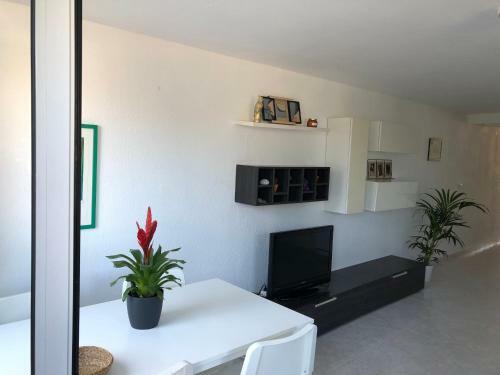 Apartamento Mario&carla
