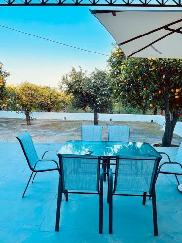 Villa Citrus Garden