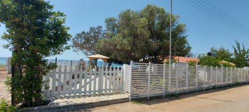 Hostal Seaside Kastamoniti Nikiti "pine&sea"