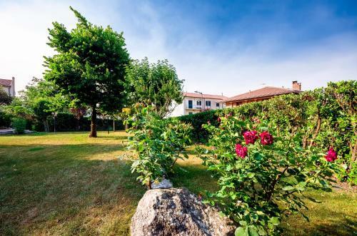 Hotel Colucci