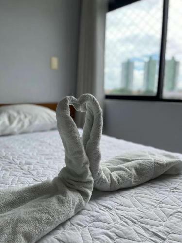 Apartamento Flat Aconchegante Em Ponta Negra - Natal/rn