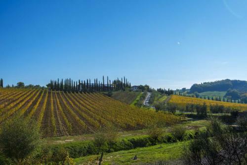 Agroturismo Agriturismo Le Gallozzole