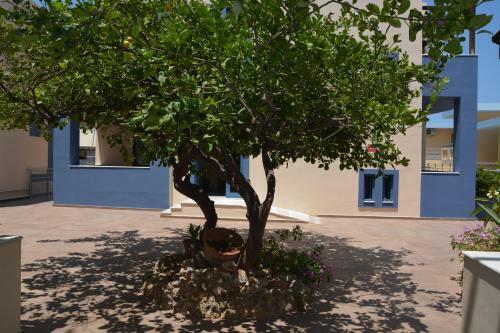 Eleni Beach Apartment