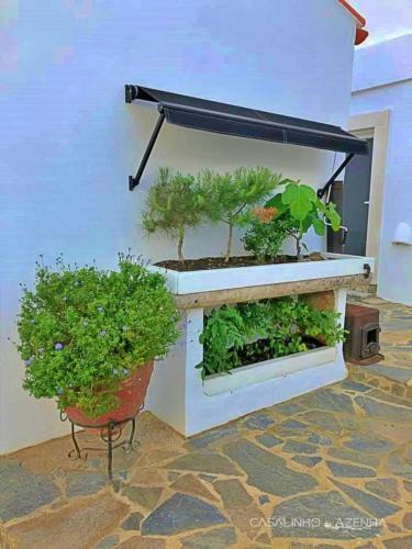Bed & Breakfast Suite Buganv�lia - Quinta Casalinho Da Azenha