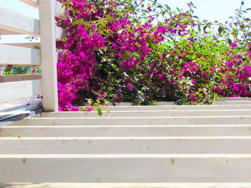 Apartamento Panohome