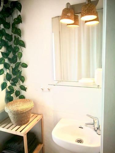 Wink Ibiza Cozy Apartments