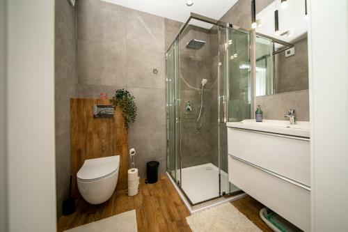 Apartament Willa Lniana
