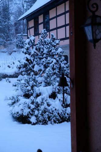 Apartamento Steffis - Hof
