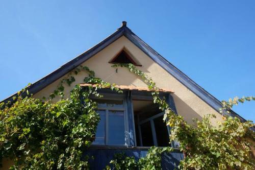 Apartamento Altes Sch�ferhaus