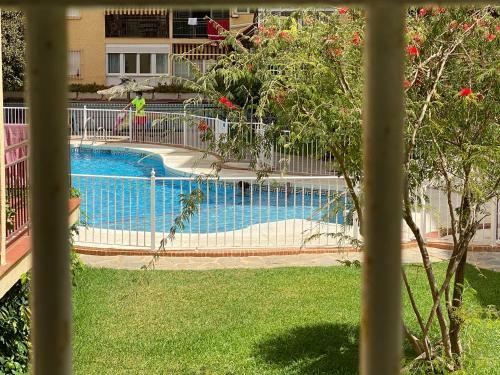 Apartamentos Lolita Rincon