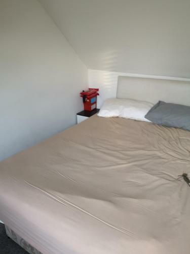Comfortable Rooms Near Alexander Hospital