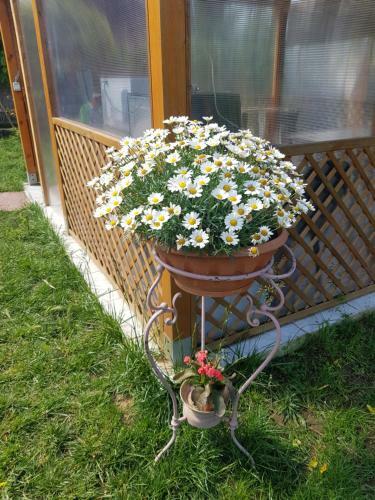 B&B Dal Pozzo