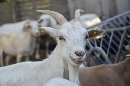 Agriturismo La Taverna