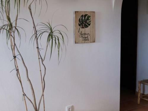 Villa Casa Dos Medronheiros - Propriedade Rural Silves