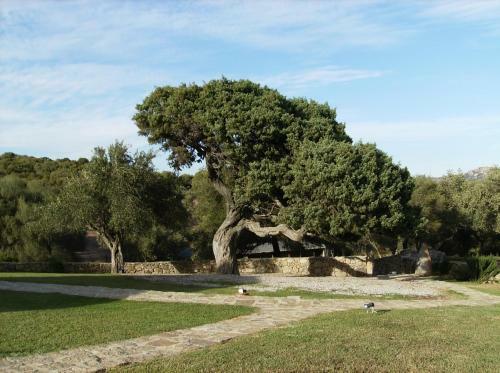 Bed & Breakfast Il Vecchio Ginepro