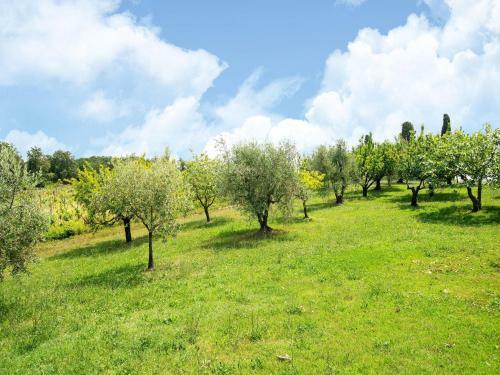 Beautiful Apartment In Collesalvetti With Garden