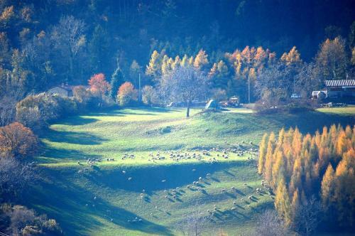 Bed & Breakfast Residenza Ca' Laripa
