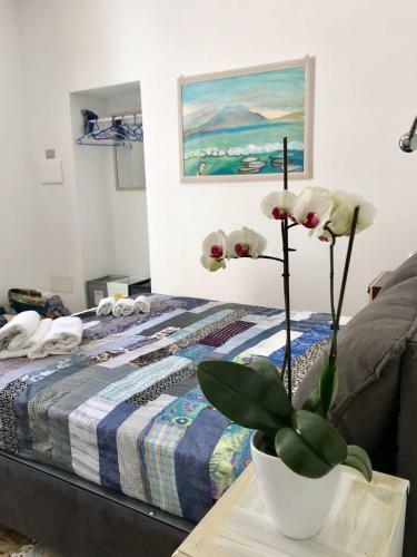 Il Giardino Rooms & Breakfast