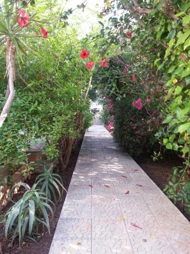 Apartamento Residence Agave Lampedusa
