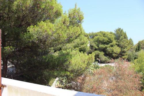 Villa Pedaci B&B