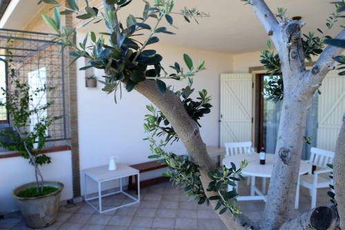 Hostal Le Nicchie Guest House
