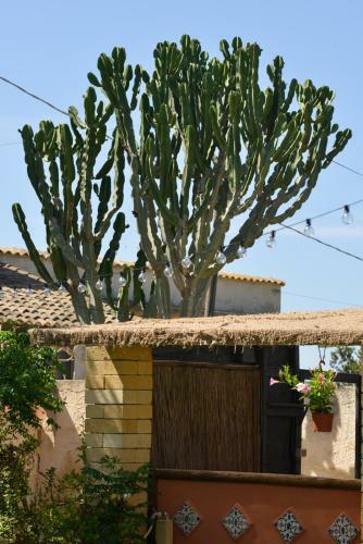 Agroturismo The Place