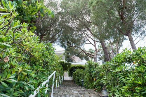 Apartamento Alburn� Bxs